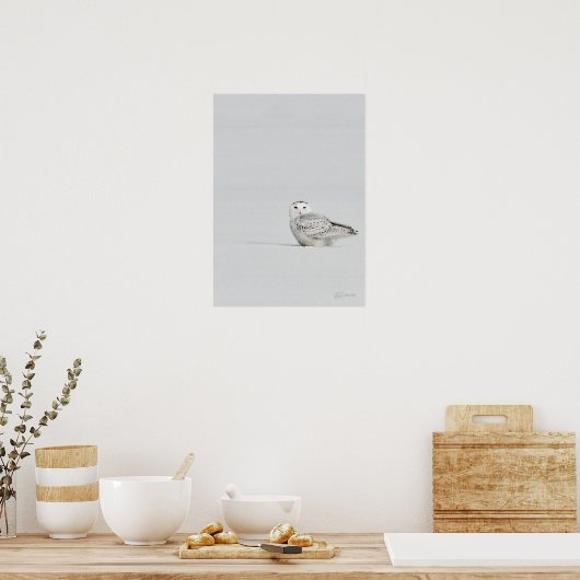 Snowy Owl Poster (Küche)