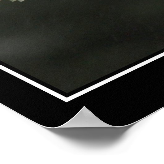 Snowy Owl Poster (Ecke)