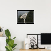 Snowy Owl Poster (Heimbüro)