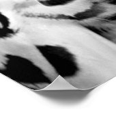 Snowy Owl Poster Print (Ecke)