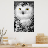 Snowy Owl Poster Print (Küche)