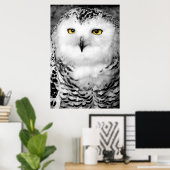 Snowy Owl Poster Print (Heimbüro)