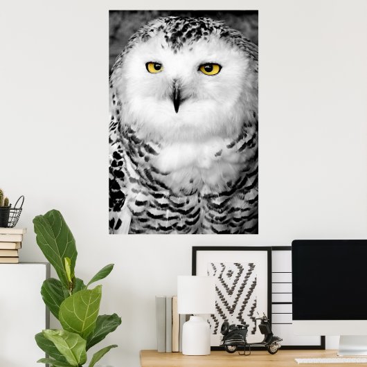 Snowy Owl Poster Print (Heimbüro)