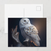 Snowy Owl Postkarten (Vorne/Hinten)
