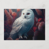 Snowy Owl Postkarten (Vorderseite)