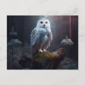 Snowy Owl Postkarten (Vorderseite)