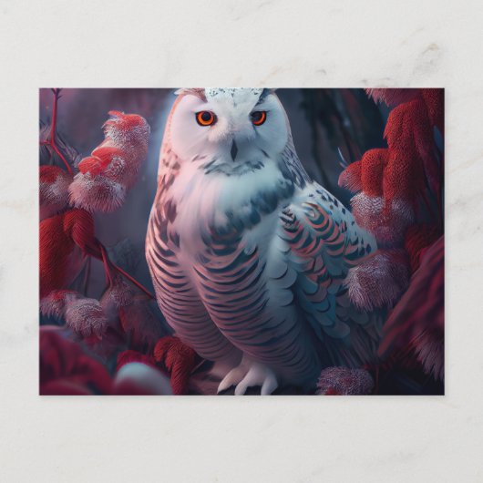 Snowy Owl Postkarten (Vorderseite)