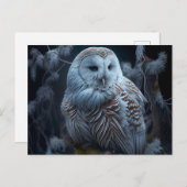 Snowy Owl Postkarten (Vorne/Hinten)