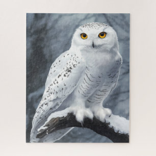 Snowy Owl Puzzle