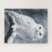 Snowy Owl Puzzle (Horizontal)