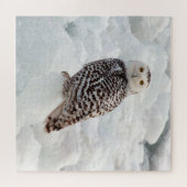 Snowy Owl Puzzle (Horizontal)