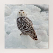 Snowy Owl Puzzle (Vertikal)