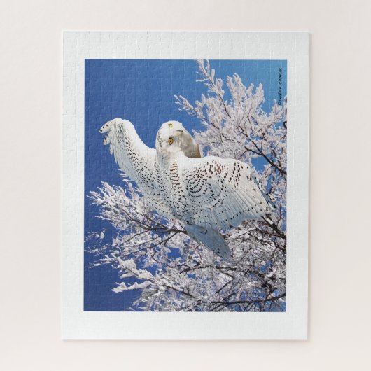 "Snowy Owl" Puzzle (Vertikal)
