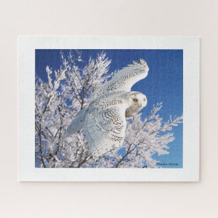"Snowy Owl" Puzzle