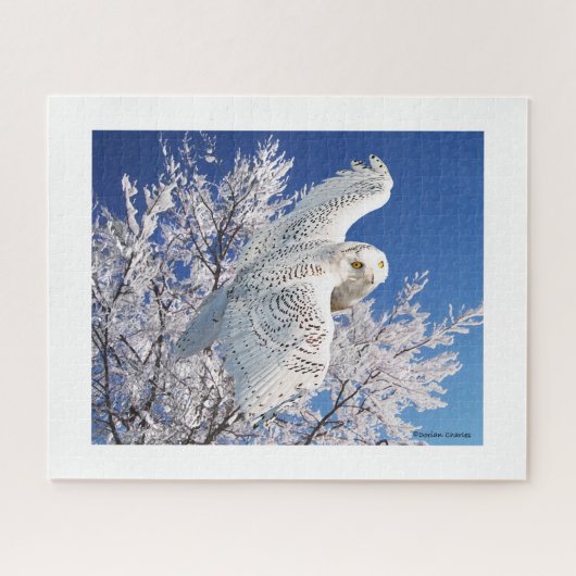"Snowy Owl" Puzzle (Horizontal)