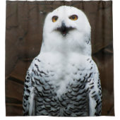 Snowy Owl sccnm Duschvorhang (Vorderseite)