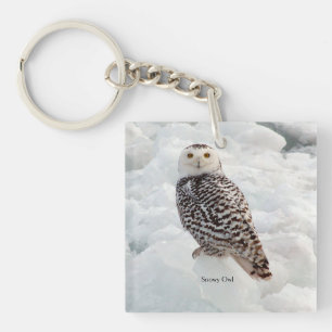 Snowy Owl Schlüsselkette Schlüsselanhänger