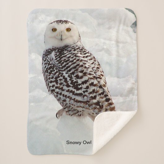 Snowy Owl Sherpa Blanket Sherpadecke (Vorderseite)