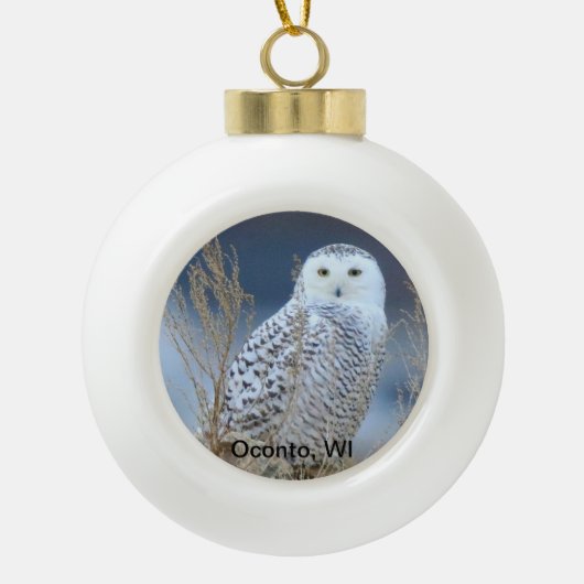 Snowy Owl Snowball Ornament (Vorderseite)