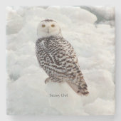 Snowy Owl Stone Untersetzer (Vorderseite)