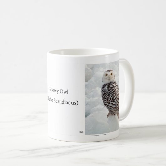 Snowy Owl Tasse (VorderseiteRechts)