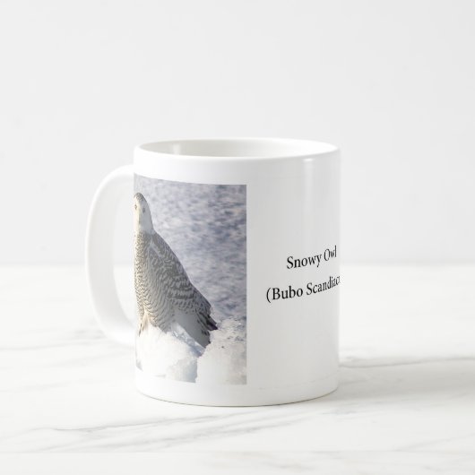 Snowy Owl Tasse (Vorderseite Links)