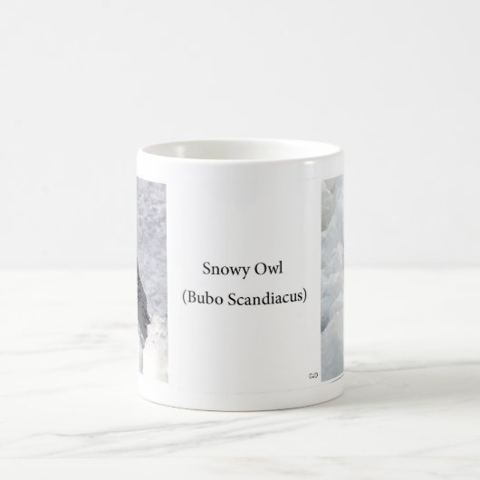 Snowy Owl Tasse (Mittel)