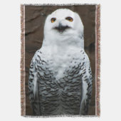 Snowy Owl tbcna Decke (Vorderseite Vertikal)