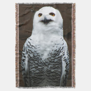 Snowy Owl tbcna Decke