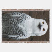 Snowy Owl tbcna Decke (Vorderseite)