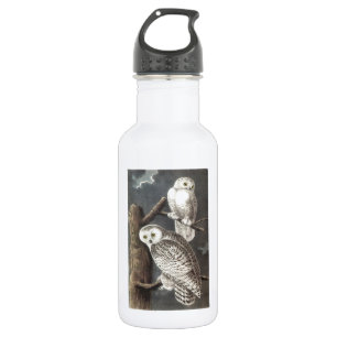 Snowy Owl von Audubon Edelstahlflasche