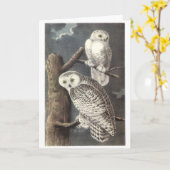 Snowy Owl von Audubon Karte (Gelbe Blume)