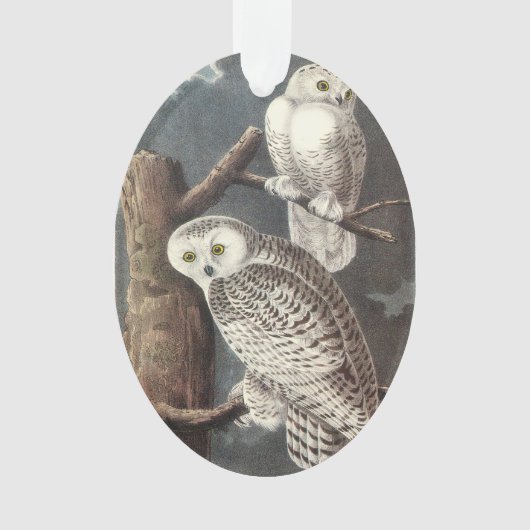 Snowy Owl von Audubon Ornament (Vorderseite)