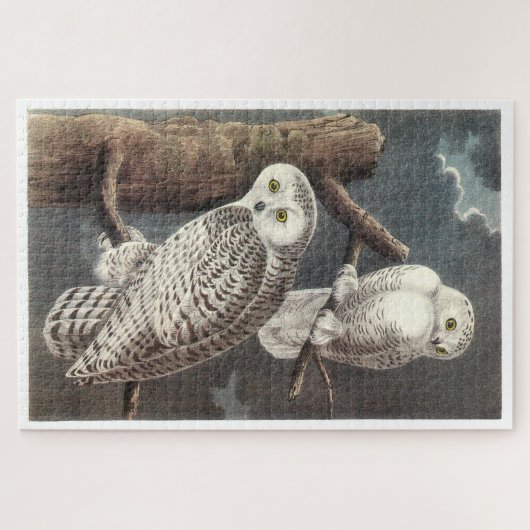 Snowy Owl von Audubon Puzzle (Horizontal)