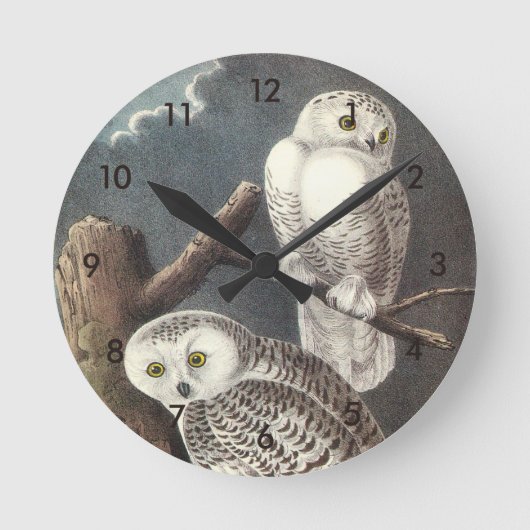 Snowy Owl von Audubon Runde Wanduhr (Vorderseite)