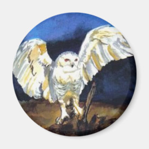 Snowy Owl von Paula Atwell Magnet