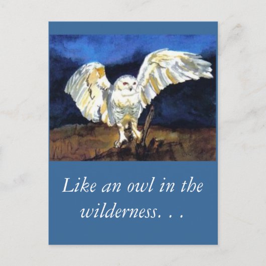 Snowy Owl von Paula Atwell Postkarte (Vorderseite)