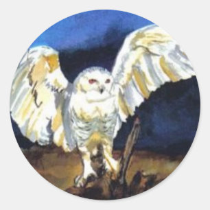 Snowy Owl von Paula Atwell Runder Aufkleber