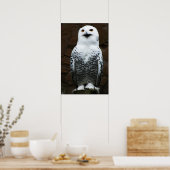 Snowy Owl wapcn Poster (Küche)