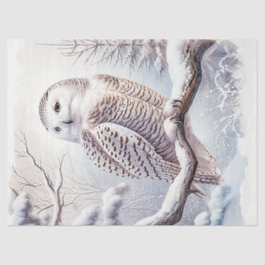 Snowy Owl Wasserfarbe Decoupage Seidenpapier (Vorderseite)