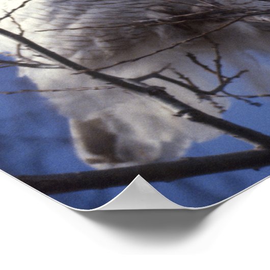 Snowy Owl - White Bird gegen Saphire Blue Sky Poster (Ecke)