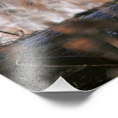 Snowy Owl Winking Fotodruck (Ecke)