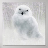 Snowy Owlet Poster (Vorne)