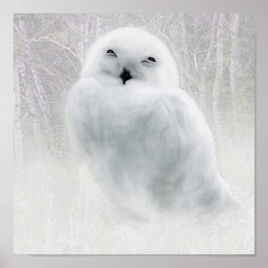 Snowy Owlet Poster (Vorne)