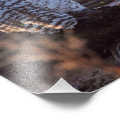 Snowy Owls Foto (Ecke)