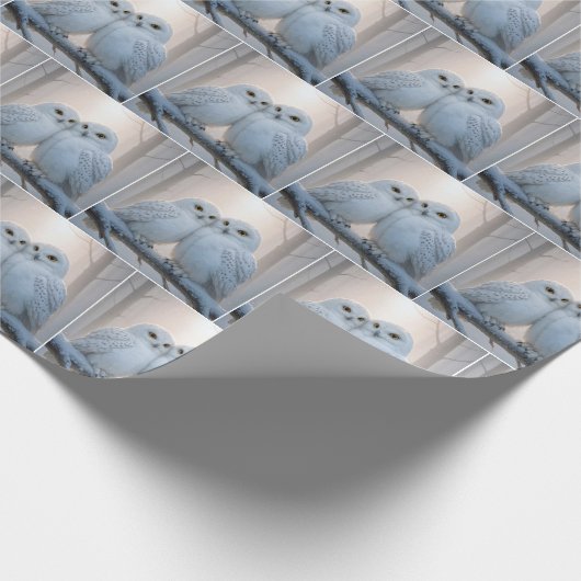 Snowy Owls On a Winter Branch Geschenkpapier (Ecke)