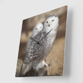 Snowy Owls Quadratische Wanduhr (Winkel)