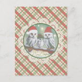 Snowy Owls Weihnachten (Vorderseite)