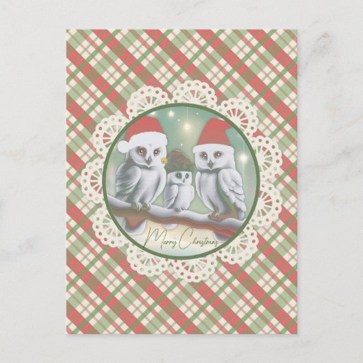 Snowy Owls Weihnachten (Vorderseite)