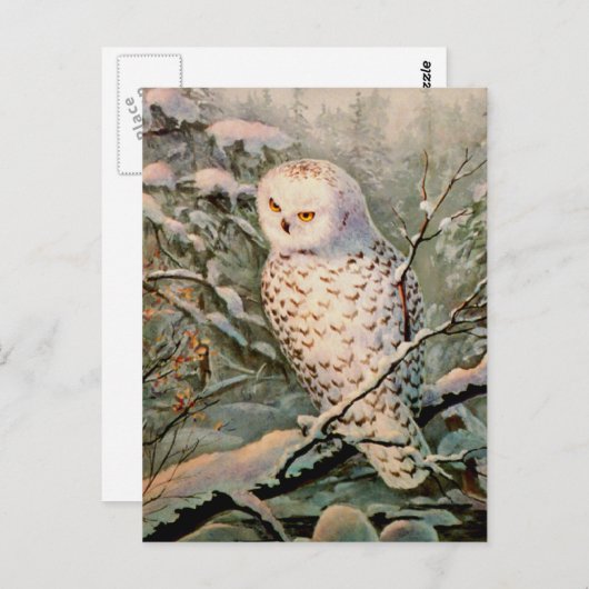 SNOWY OWY by SHARON SHARPE Postkarte (Vorne/Hinten)